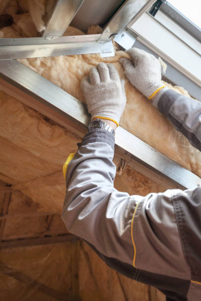 Best Crawl Space Insulation  in Weedsport, NY