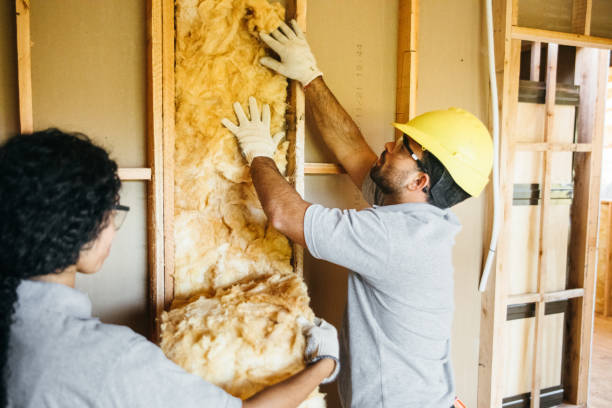 Best Insulation Repair Services  in Weedsport, NY