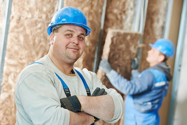 Best Wall Insulation Contractor  in Weedsport, NY